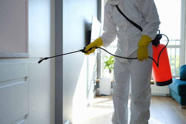 Ocklawaha, FL Mold Inspection, Removal & Remediation Company